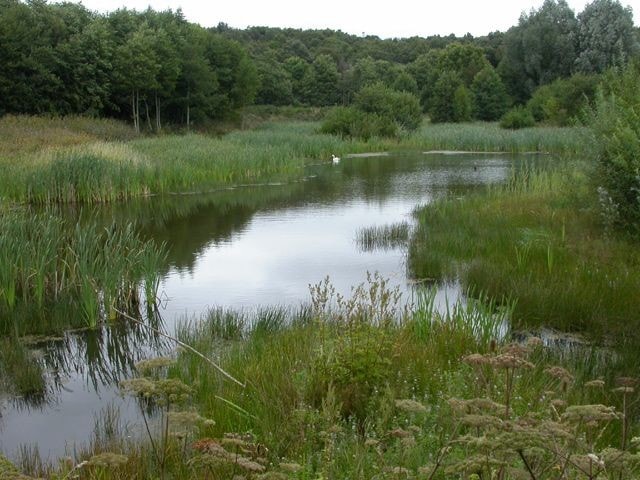 View from the hide at Far Pasture. View from the hide at Far Pasture.