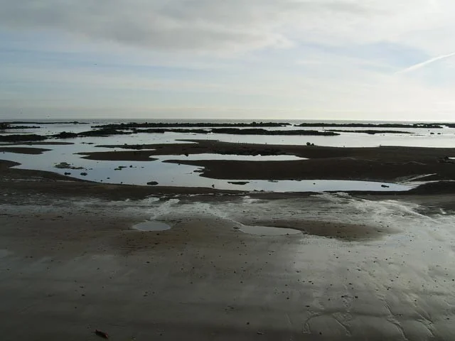 The 'harbour' at South Bents, Whitburn. The 'steels' are the rocky wave cut platforms, of which Whitburn has several, all good places for spotting waders and sea birds. The 'harbour' at South Bents, Whitburn. The 'steels' are the rocky wave cut platforms, of which Whitburn has several, all good places for spotting waders and sea birds.
