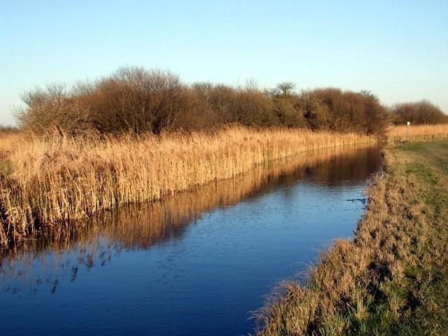 Wicken Lode, Wicken Fen NT. Wicken Lode, Wicken Fen NT.