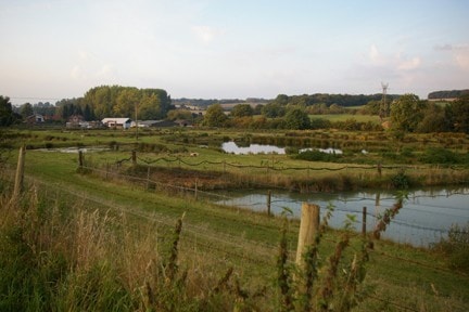 Piccotts End Pools (L. Cura & Sons fish farm) - keep to rights of way - best viewed from public footpath along SW side of site - access footpath at Three Valleys Water works to SE, or Noake Mill Lane (private road) to NW, both off of Leighton Buzzard Piccotts End Pools (L. Cura & Sons fish farm) - keep to rights of way - best viewed from public footpath along SW side of site - access footpath at Three Valleys Water works to SE, or Noake Mill Lane (private road) to NW, both off of Leighton Buzzard