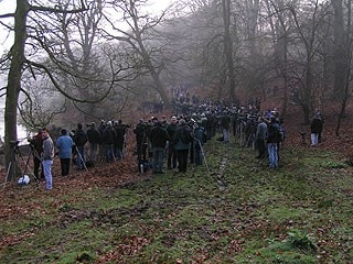 Near the entrance to Shugborough estate (during the Belted Kingfisher twitch). Near the entrance to Shugborough estate (during the Belted Kingfisher twitch).