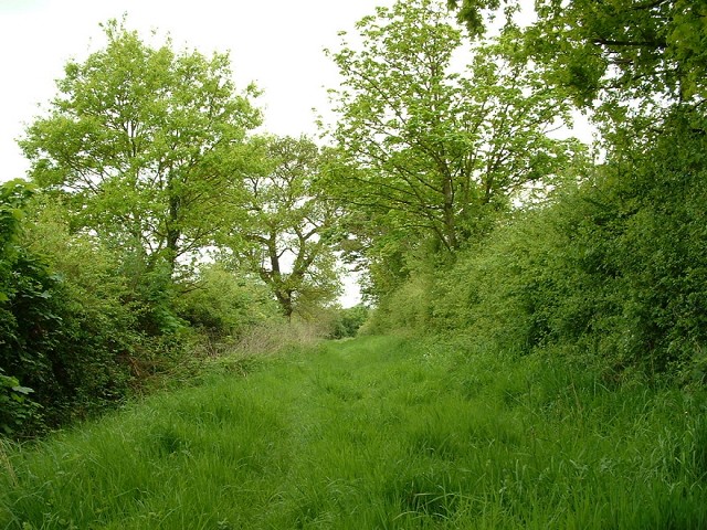 Hale Barns Birdwatching Site Birdguides
