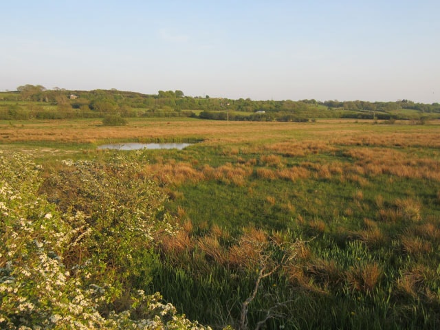 A sunny May evening at Malltraeth Marsh. A sunny May evening at Malltraeth Marsh.