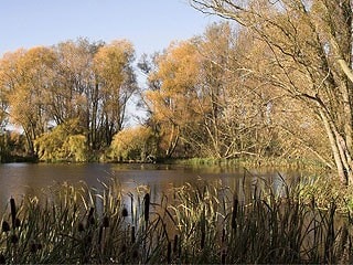 One of the smaller lakes at Wicksteed Park One of the smaller lakes at Wicksteed Park