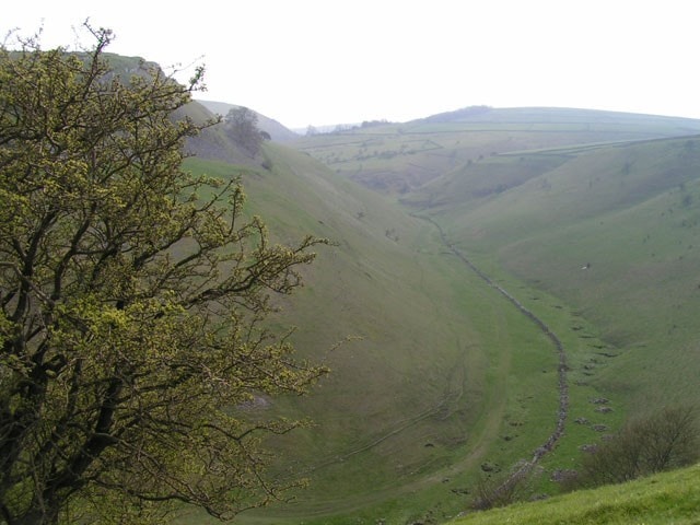 Upper Cressbrook Dale. Upper Cressbrook Dale.