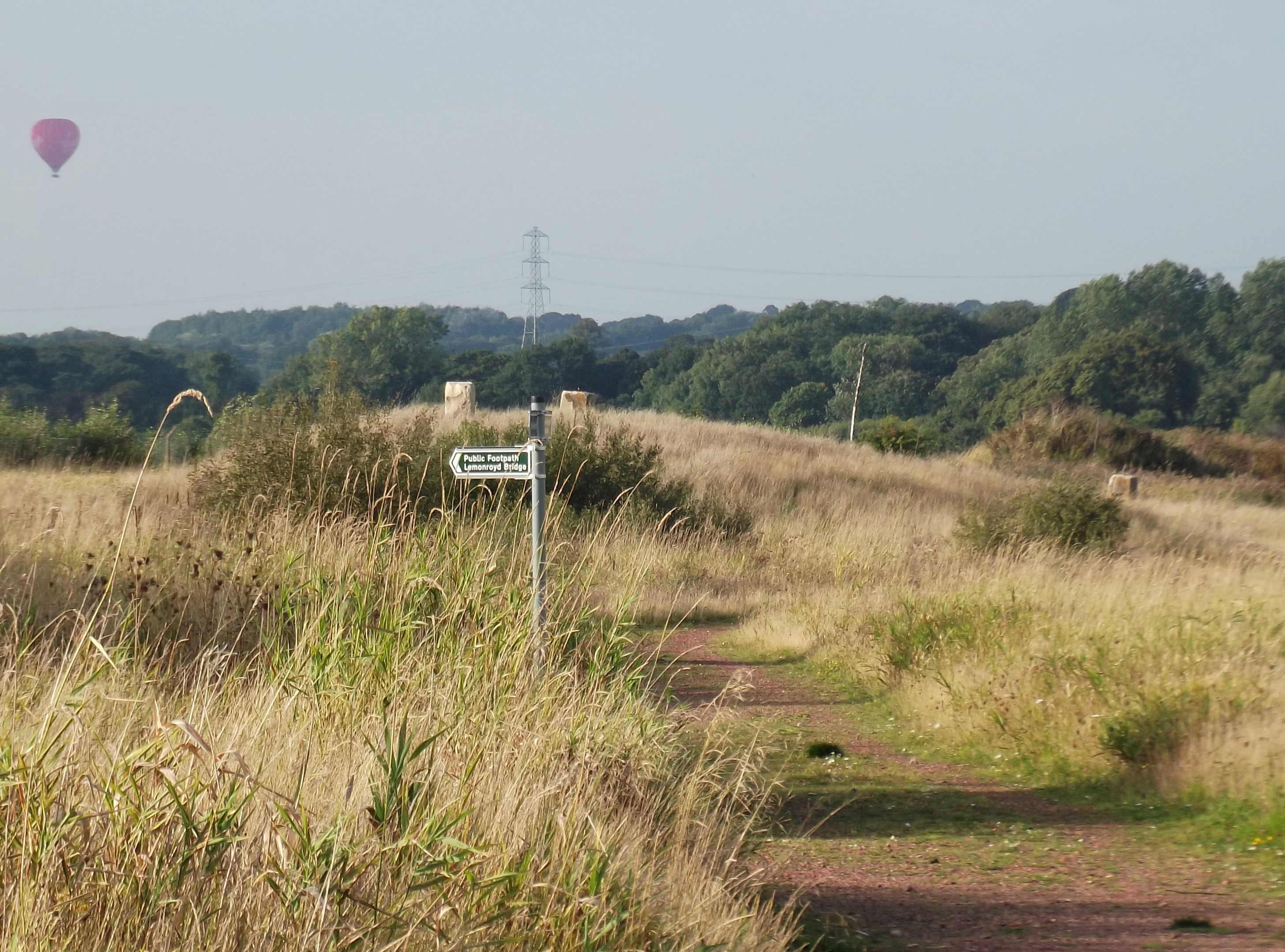 Swillington Ings Birdwatching Site BirdGuides