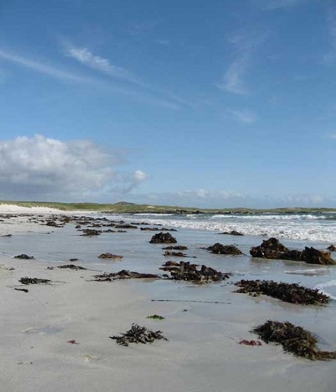 The beaches in the Ballyconeely area are particularly impressive. The beaches in the Ballyconeely area are particularly impressive.