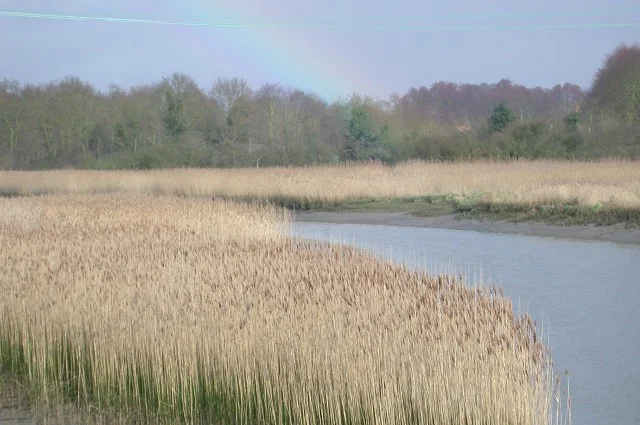 River Deben River Deben