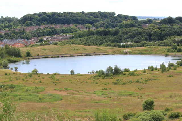 A view of the Southern Pool from the rim of 'the Void' - an area of form opencast coal extraction. Good for gulls in the winter half of the year. In the foreground there is a conservation area with smaller pools, reed beds and scrapes. The vegetation A view of the Southern Pool from the rim of 'the Void' - an area of form opencast coal extraction. Good for gulls in the winter half of the year. In the foreground there is a conservation area with smaller pools, reed beds and scrapes. The vegetation