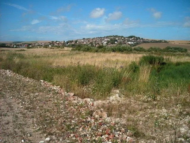 The nature reserve. The nature reserve.