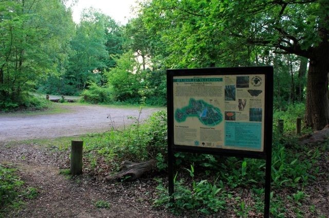 Ruislip Woods NNR. A beautiful ancient woodland. Ruislip Woods NNR. A beautiful ancient woodland.