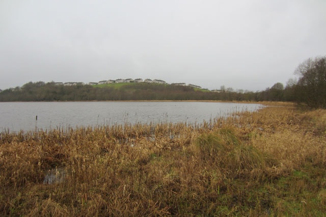 Racecourse Lough on a miserable winter's day. Racecourse Lough on a miserable winter's day.
