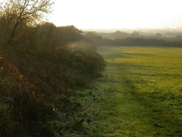 Western side of the site looking towards Paradise Fields. Western side of the site looking towards Paradise Fields.