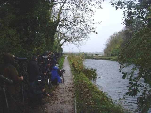 The Green Heron crowd at the Royal Military Canal, West Hythe. The Green Heron crowd at the Royal Military Canal, West Hythe.