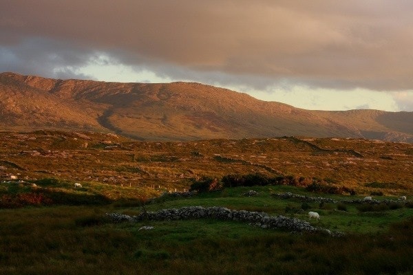 Image supplied by Lewis Thomson Image supplied by Lewis Thomson