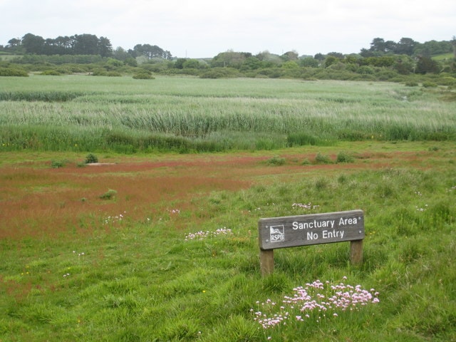 © Copyright <a title="View profile" href="http://www.geograph.org.uk/profile/22976">Rod Allday</a> and
licensed for reuse under this <a rel="license" href="http://creativecommons.org/licenses/by-sa/2.0/">Creative Commons Licence</a>. © Copyright <a title="View profile" href="http://www.geograph.org.uk/profile/22976">Rod Allday</a> and
licensed for reuse under this <a rel="license" href="http://creativecommons.org/licenses/by-sa/2.0/">Creative Commons Licence</a>.