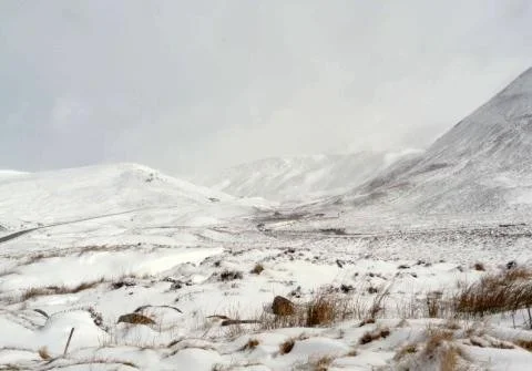 Image supplied by Peter Image supplied by Peter