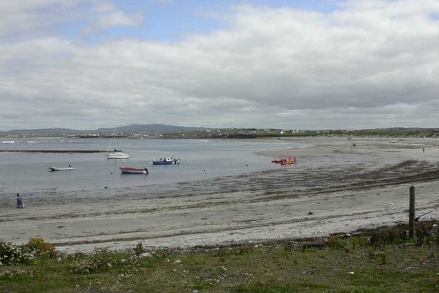 Seafield, Quilty - a good spot for calidrids. Seafield, Quilty - a good spot for calidrids.