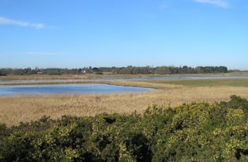 North Warren marshes in winter.