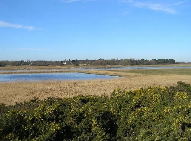North Warren marshes in winter. North Warren marshes in winter.