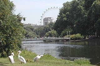 View looking east with London Eye in background View looking east with London Eye in background
