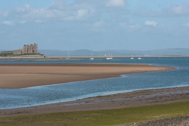 South Walney Nature Reserve, Walney Island - view towards Piel Castle - most of the birds in the channel in this scene are Eider. South Walney Nature Reserve, Walney Island - view towards Piel Castle - most of the birds in the channel in this scene are Eider.