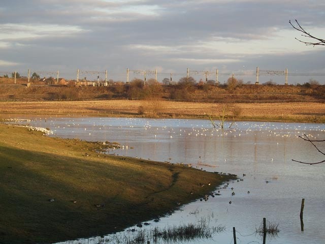 The 'Salt Pan', one of several lakes (flashes) that have formed due to subsidence caused by salt mining. Despite being inland the water is brackish and the vegetation salt tolerant in places. Excellent for waders. The 'Salt Pan', one of several lakes (flashes) that have formed due to subsidence caused by salt mining. Despite being inland the water is brackish and the vegetation salt tolerant in places. Excellent for waders.