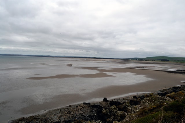 Large open sands, good for waders, ducks, in the bay, sea ducks and gannets. Large open sands, good for waders, ducks, in the bay, sea ducks and gannets.