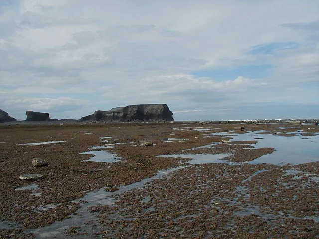Looking west from Saltwick Nab, the Nab itself and Saltwick Bay. Looking west from Saltwick Nab, the Nab itself and Saltwick Bay.