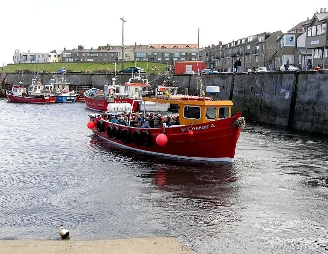 Seahouses harbour and boat to the Farne Islands. Seahouses harbour and boat to the Farne Islands.
