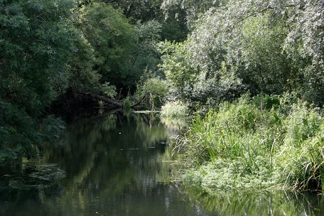 Beeleigh Falls, Heybridge, Maldon Beeleigh Falls, Heybridge, Maldon