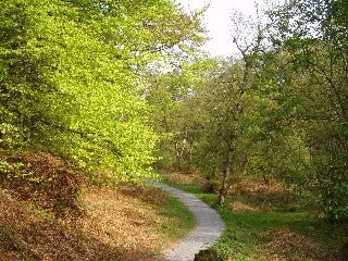 Strid Woods Strid Woods